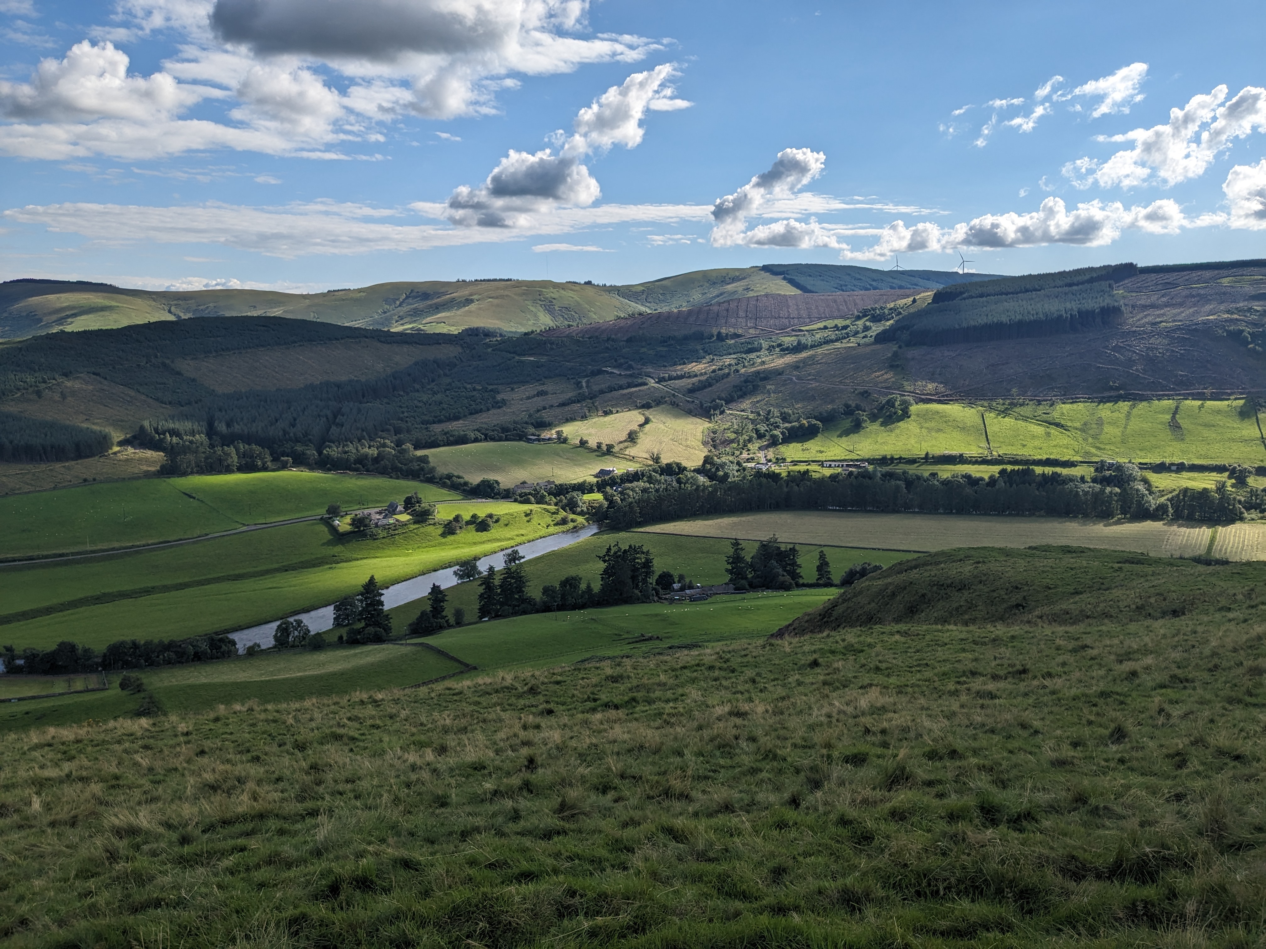 Glorious bentpath countryside